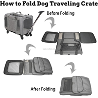 Portable Pet Rolling Carrier Safe Poignée télescopique Pet Travel Carrier Bag sur roues Pet Travel Carrier