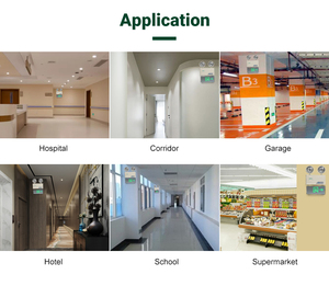 Tuoming Patterns <b>Customized</b> Indoor Tunnel Wall Mounted Rechargeable 3W Led Exit Sign Emergency Lights - Product Image 4