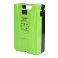 Baterai Ion Lithium energi baru 48V12.5Ah Pak non-polusi baterai Lithium Ion prisma khusus untuk peralatan kebun