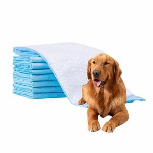 Pet Diaper Training <b>Mat</b> Pet Peep Pad <b>Large</b> with Adhesive Pet Toilet <b>Mat</b> for Dogs - Product Image 1