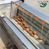 Zhuoyu Automatische Groentenreinigingsmachine voor Kokosnoot, Fruit, Mais, Aardappelen, Zoete Aardappelen, Hoge Efficiëntie, Voedselveilige RVS