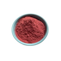 Poudre de jus de betterave rouge pur en poudre d'approvisionnement d'usine Ciyuan