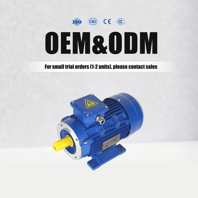 Industrial Grade Three Phase Asynchronous Motor Low Speed AC Motor 380V 50Hz Motor