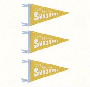 Professional Customizable Digital Printing University Felt Triangle <b>Banners</b> Portable Waterproof Eco-Friendly - Product Image 6