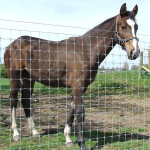 سياج حقل مجلفن بسياج ميداني مجلفن بطول 4 أقدام × × أقدام ثابتة - Product Image 3