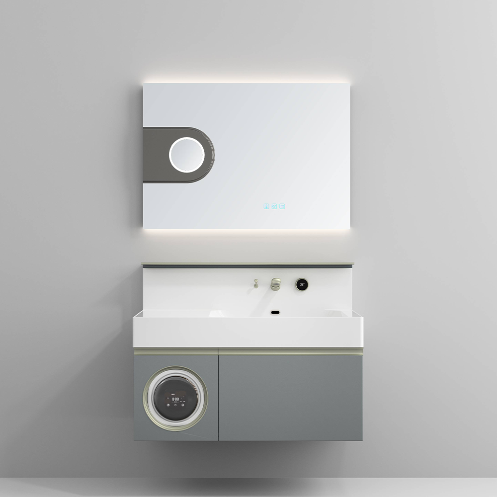 24B-1000 Single-door mirror