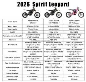 Motocicleta Eléctrica de Alta Resistencia 2026 Nueva Arctic Leopard <span class=keywords><strong>Dirk</strong></span>, Proveedores Verificados, 12000W, Tamaño Completo para Adultos, Spirit Leopard E-Moto - Product Image 5