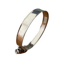Collier de serrage à vis sans fin de style américain 8 mm 12,7 mm, bande perforée SAE J1508 SS304 réglable pour l'irrigation goutte à goutte agricole