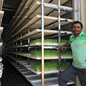 Sistema Hidropónico Agrícola Inteligente de Gran Tamaño ZN 40HQ con Estructura de Acero Multicapa, Color Personalizado, Súper Resistente - Product Image 5