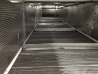 Gloednieuwe continue groenteverblancheermachine met roestvrijstalen gaasband voor bladgroenten