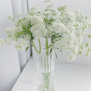 Fiori Freschi di Grado A Lei Si - Bianchi per Composizioni Floreali, Decorazioni per la Festa della Mamma e San Valentino, Direttamente dal Coltivatore, Catena del Freddo - Product Image 1