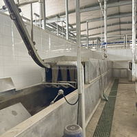 Ligne complète d'abattage de porcs, machinerie d'abattoir porcin avec équipement de boucherie pour porcs