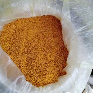 Số lượng lớn phấn hoa ong bột hữu cơ phấn hoa ong bột nguyên phấn hoa ong hạt - Product Image 5