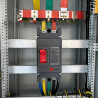 CNXE CHM1-125L/2300 2P 125A Pemutus Sirkuit Cetak Padat 50kA Icu AC400/690V 800V Ui Thermal-Magnetic MCCB Overload