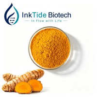 Extrait de Curcuma, Curcuminoïdes Totaux 10%-95%, Extrait Standardisé de Rhizome de Curcuma Longa, Ingrédient Herbal