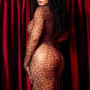 Leopard Print <strong>Sheer</strong> Mesh Bodysuit - Full Body Long Sleeve High-Neck Stretch <strong>Catsuit</strong> with Thong - Product Image 3