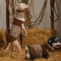 Pull pour chien en tricot épais rayé avec col montant, à deux pattes, avec boutons, vêtements chauds d'hiver pour chien XS S M