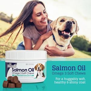 Golosinas Masticables Suaves con Omega para Piel y Pelaje, Marca Privada OEM/ODM, Suplemento Masticable Suave de Salmón con Sabor Personalizado - Product Image 4