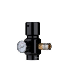 Regolatore di Pressione Regolabile ad Alta Precisione per Multi-Gas per N2/CO2/Aria |   Serie RP24 |   Temperatura Operativa da -5 a 43°C |   per - Product Image 2