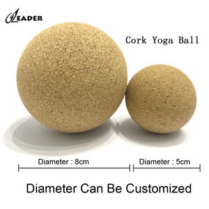 Juego de inicio de esterilla de <span class=keywords><strong>yoga</strong></span> con rueda de rodillo de bloque de bolas-para <span class=keywords><strong>principiantes</strong></span> - Product Image 2