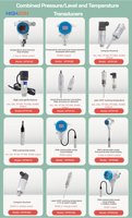 Termometer Digital PT100 PT1000 Presisi Tinggi Sensor Suhu Perbedaan Suhu Kecil Respon Cepat Baja Tahan Karat