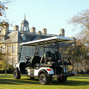 Carrito de Golf OEM de 4 Plazas, Estilo Urbano, con Batería de Litio - Product Image 1