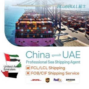 DDP DDU CIF货运代理门到门送货服务航空货运服务和海运FCL拼箱货运代理中国至阿联酋 - Product Image 6
