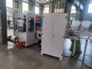 Macchina per Confezionamento Tridimensionale di Fazzoletti Morbidi Completamente Automatica Xinyun, Motore con Riduttore, 100-150 Pacchetti/Min, 380V 50Hz, Certificazione CE - Product Image 5