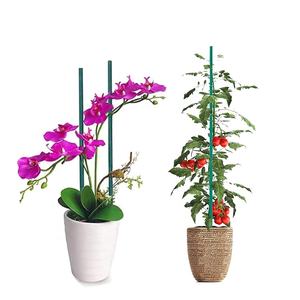 <span class=keywords><strong>Piquets</strong></span> <span class=keywords><strong>de</strong></span> plantes <span class=keywords><strong>en</strong></span> <span class=keywords><strong>bois</strong></span> <span class=keywords><strong>de</strong></span> jardin, bâtons <span class=keywords><strong>de</strong></span> bambou vert robustes pour Support <span class=keywords><strong>de</strong></span> plante florale, bâtons <span class=keywords><strong>de</strong></span> jardin <span class=keywords><strong>en</strong></span> bambou pour affiches, 30 pièces - Product Image 5