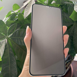 2.5D HD Anti-spy vetro temperato <span class=keywords><strong>pellicola</strong></span> di protezione dello schermo per <span class=keywords><strong>iPhone</strong></span> <span class=keywords><strong>11</strong></span> 16plus 16 Pro Max - Product Image 4