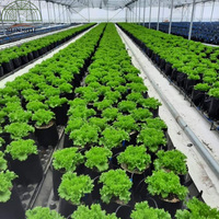 Système de culture hydroponique en serre, gouttière pliable pour la culture des plantes, gouttière noire pour la culture des fraises en agriculture