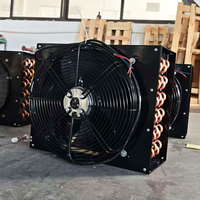 Unité de condensation compacte d'occasion en alliage d'aluminium avec compresseur, serpentin refroidi par air, ventilateurs, refroidisseur, échangeur de chaleur pour la réfrigération