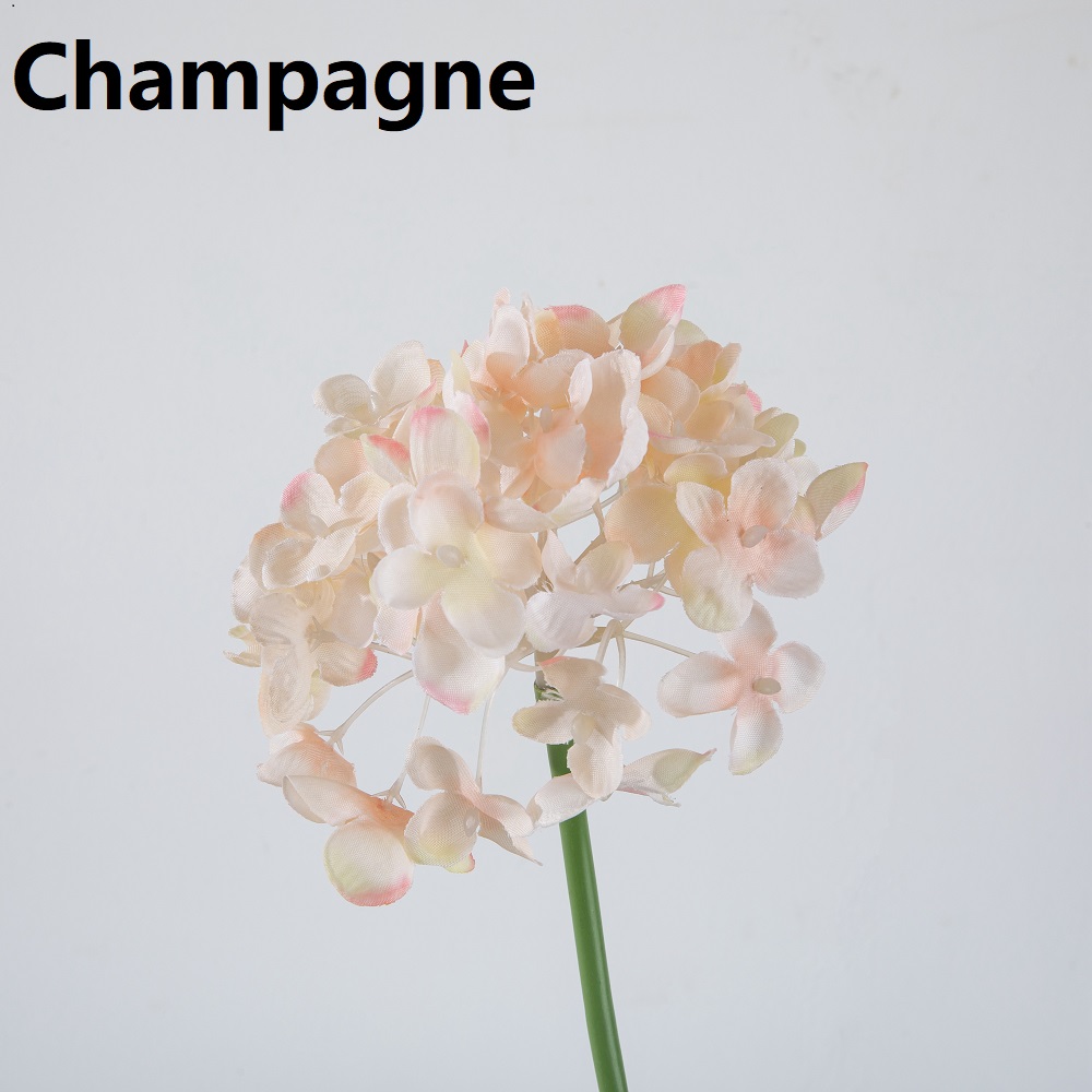 Champagne