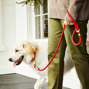 Correa de perro de cuerda de nailon personalizada de Color de tendencias de moda correa a presión para mascotas correa de perro trenzada de estilo británico - Product Image 3