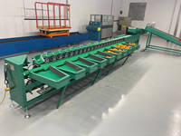 Commerciële Mango Sorteermachine, Oranje- en Citroensorteermachine, 10 gradaties fruit sorteermachine