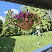 Decoración del Día de San Valentín Faux Silk UV-Anti Colorful Daisy Eucalyptus Look Real Artificial Hanging Plants Flowers Basket