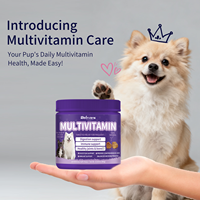 Multivitamines à mâcher pour chiens, soutien articulaire, cutané et immunitaire, avec emballage personnalisable et marque privée