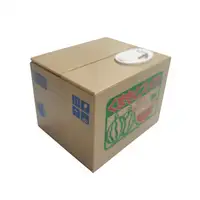 Caja de plástico con forma de Panda para guardar dinero, regalo creativo, regalo de recuerdo, mirilla, gato, moneda, alcancía