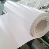 Feuille de PTFE de haute qualité 0.5mm d'épaisseur Film de feuille expansé moulé antiadhésif PTFE