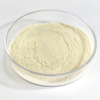 Poudre de probiotique Lactobacillus Plantarum en promotion, qualité alimentaire, lyophilisée, 100 milliards d'UFC/g, approvisionnement en vrac, directement de l'usine, OEM