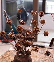 Grosir Pabrik pinecone alami kualitas tinggi untuk ornamen natal properti menembak bunga kering