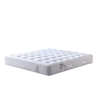 Matelas hybride de luxe Vonliva avec surmatelas en coton infusé au graphite et ressorts ensachés, garantie 10 ans – Idéal pour chambre d'étudiant, épaisseur 23 cm