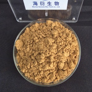 Экстракт плодов ликии барбарской (годжи) 40% полисахаридов, порошок, для поддержки иммунитета взрослых - Product Image 4