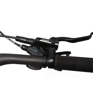 Vélo de montagne en fibre de carbone, suspension intégrale, freins à disque, 29 pouces, 12 vitesses, fourche complète - Product Image 2