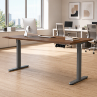 Bureau électrique intelligent à double moteur OEM avec pieds de table ovales, bureau pour ordinateur et e-sport