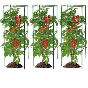 Tomatenkooi Kleine Set Staak Armen Plastic Kooien Omgekeerde Uitbreidbare Verstelbare Plantensteun - Product Image 1