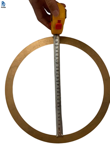Joint en cuivre pour contrôleur PLC, neuf et original, DN250 - Product Image 1