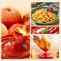 Sachet de ketchup aux tomates concentré biologique 250g en vrac prix de gros Ketchup biologique sauces pures pâte de tomates