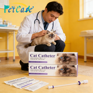 Cathéter urinaire pour chats 0,8 mm/1,0 mm/1,3 mm, emballage <span class=keywords><strong>anglais</strong></span>, pour la réduction des calculs urinaires, bandelettes <span class=keywords><strong>de</strong></span> <span class=keywords><strong>test</strong></span> vétérinaires - Product Image 2