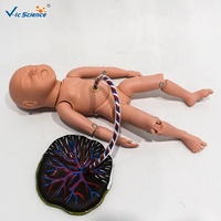 Modelo Anatómico de Recién Nacido a Termosinal Completo para Entrenamiento de Habilidades de Enfermería Médica, Ayuda Didáctica, CE/ISO/ROHS/CNAS